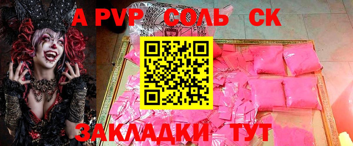 Alfa_PVP СК КРИС Архангельск