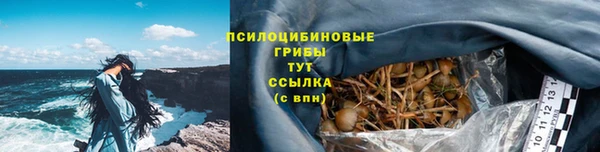 MESCALINE Вяземский
