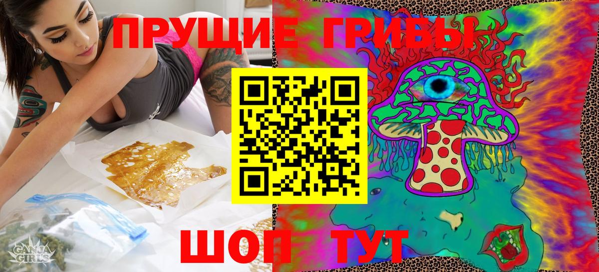 Архангельск  Псилоцибиновые грибы Cubensis  Вход с VPN  Псилоцибиновые грибы прущие грибы 
