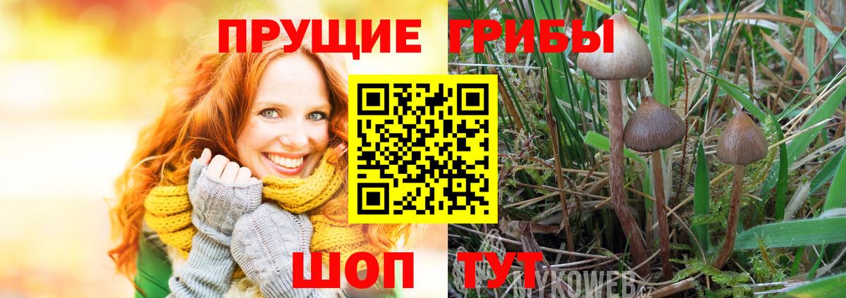 сколько стоит  Галлюциногенные грибы мухоморы  Архангельск  Псилоцибиновые грибы Psilocybe 